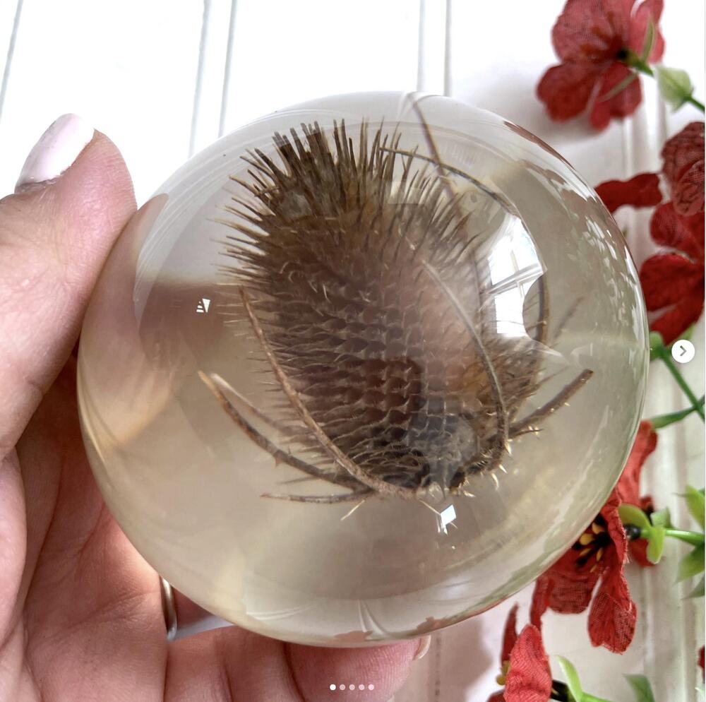 Vintage 1990s Thistle Paperweight Lucite Resin Botanical England Hafod Grange?